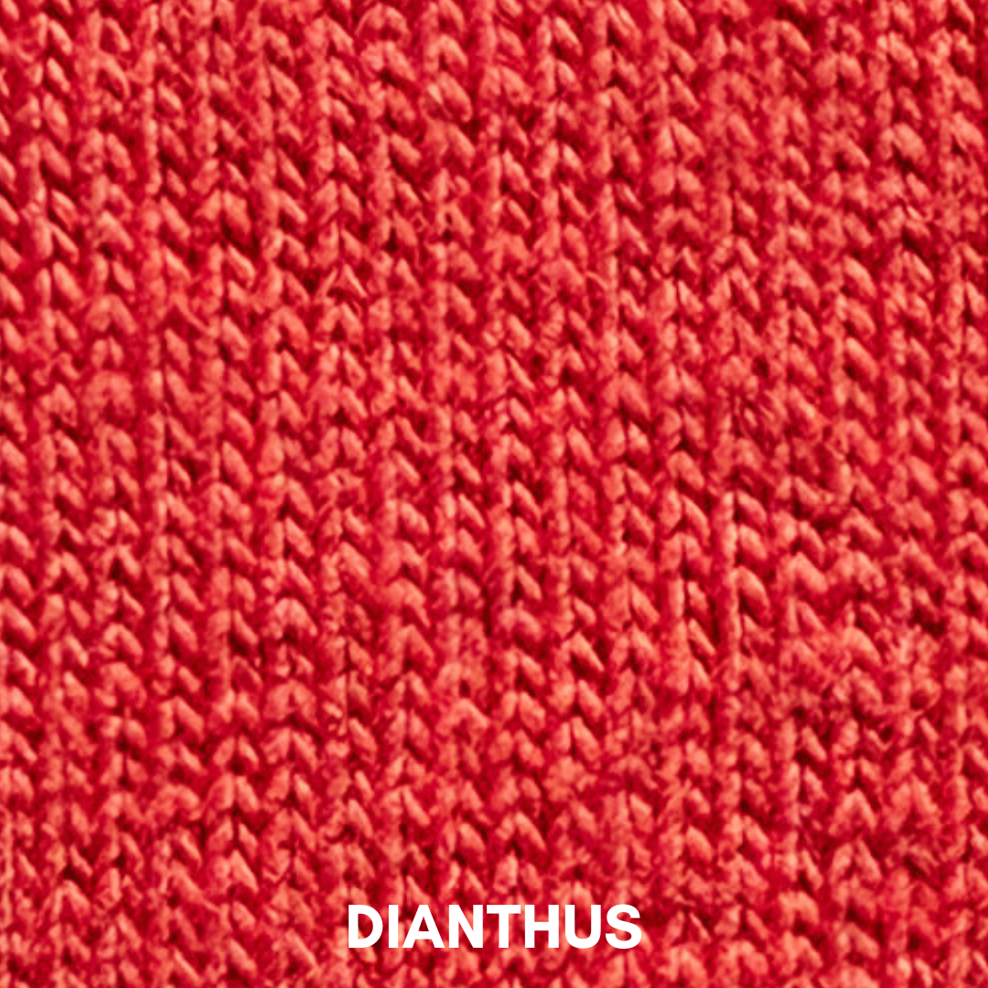 DIANTHUS Spring 2027 Bryn Walker Light Linen