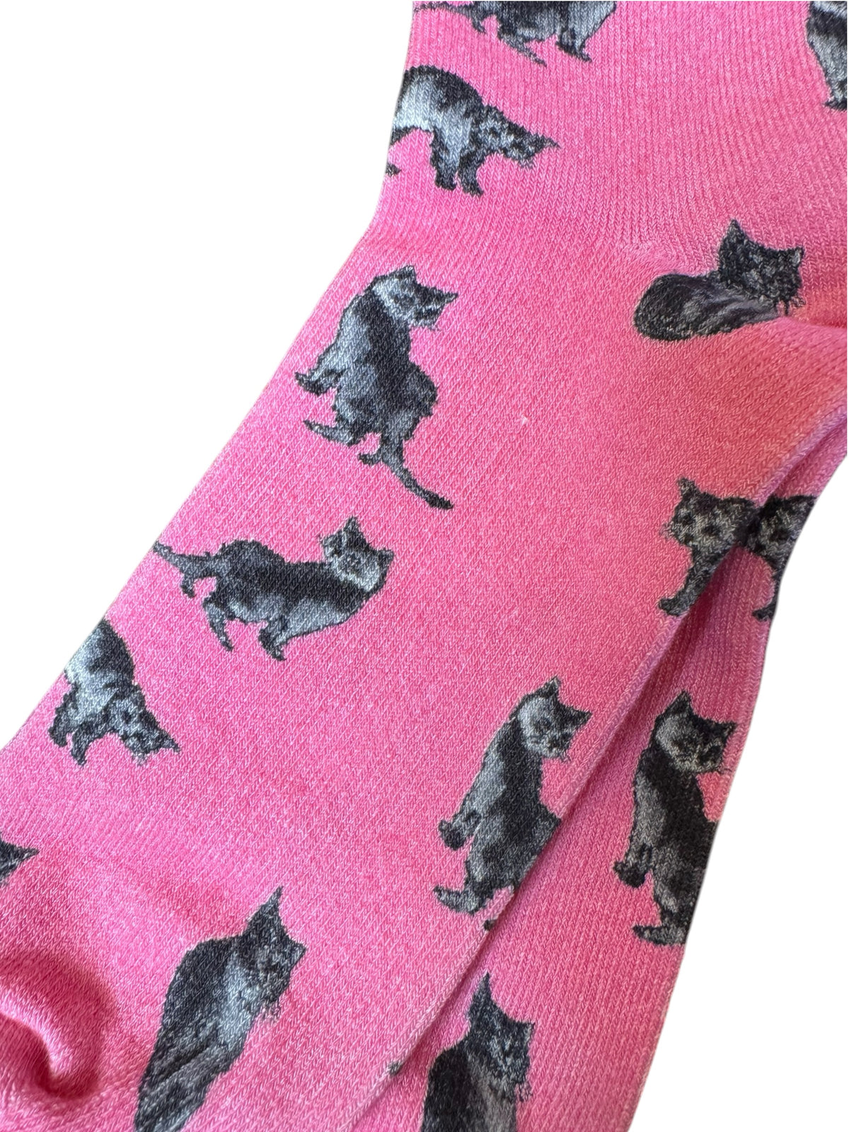 Curious Cat Bamboo Ankle Socks