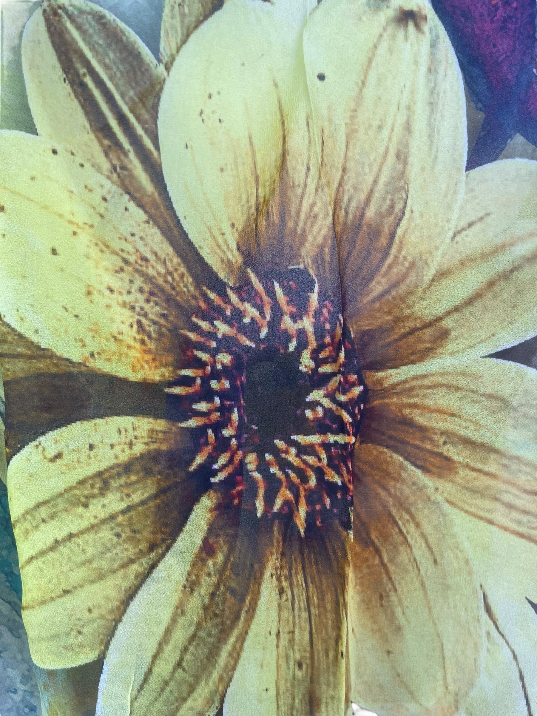 PRG8344 Sheer Avatar Pure Silk Kimono-Sleeved Jacket with Belt