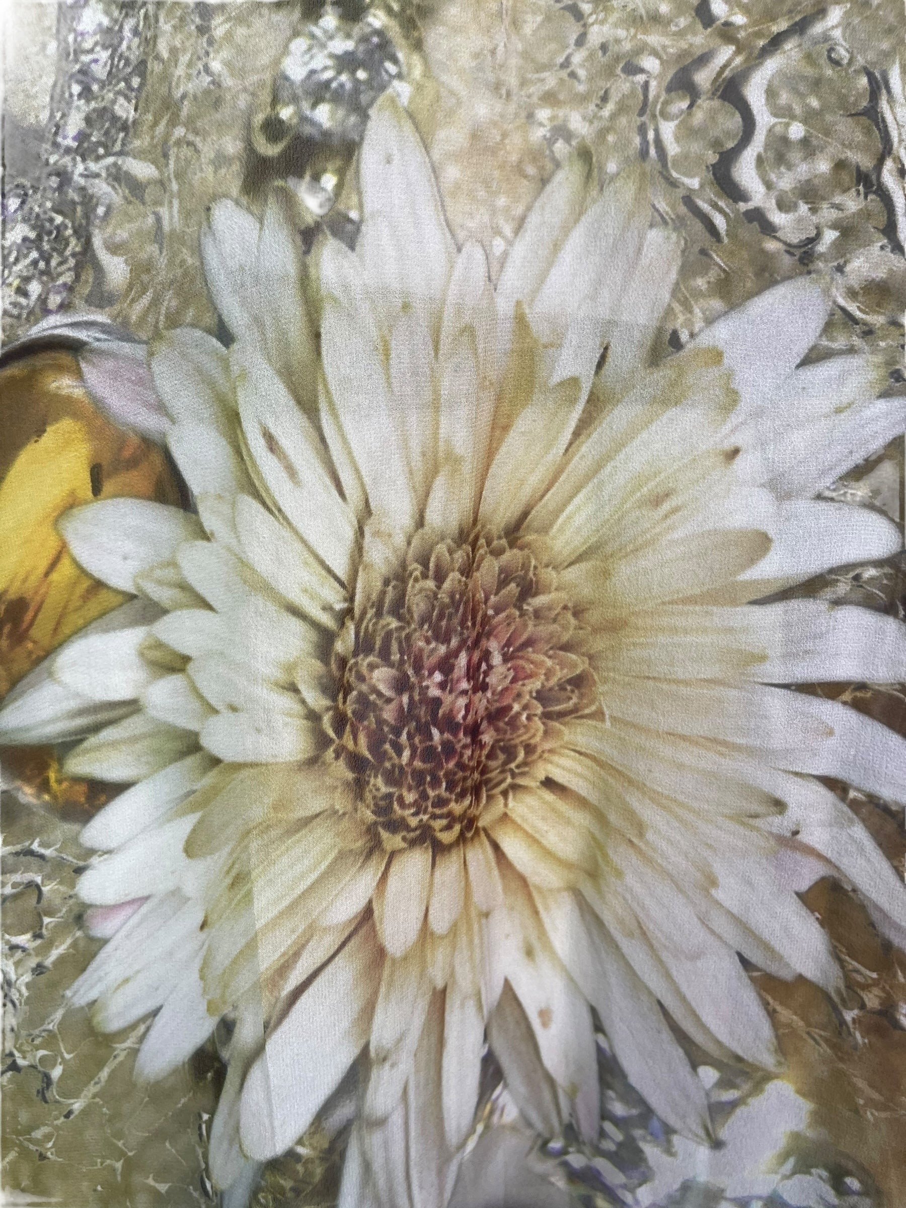 PRG8240 Avatar Pure Silk Kimono-Sleeved Jacket with Belt