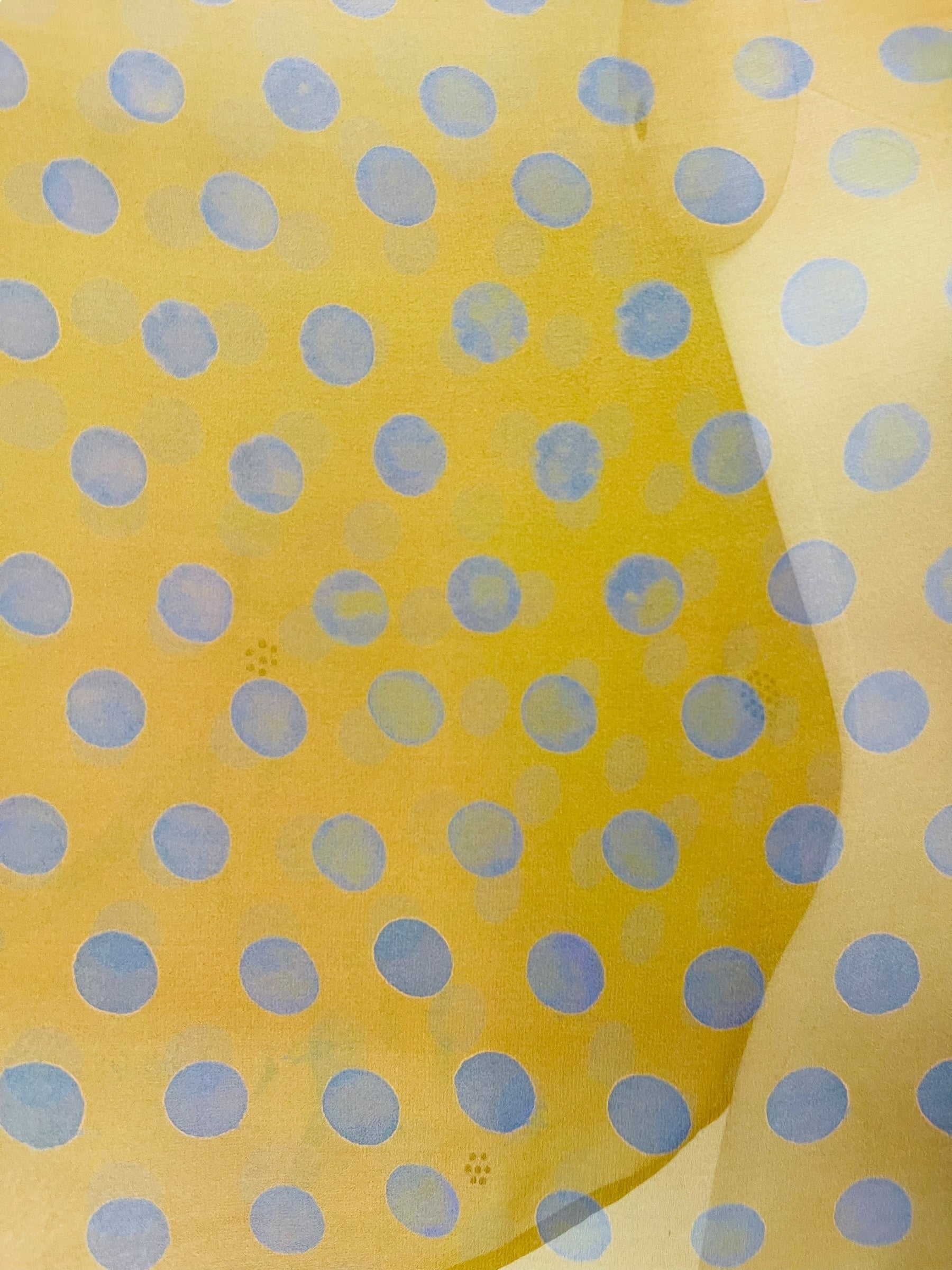 PRG7567 Sheer Avatar Pure Silk Kimono-Sleeved Top