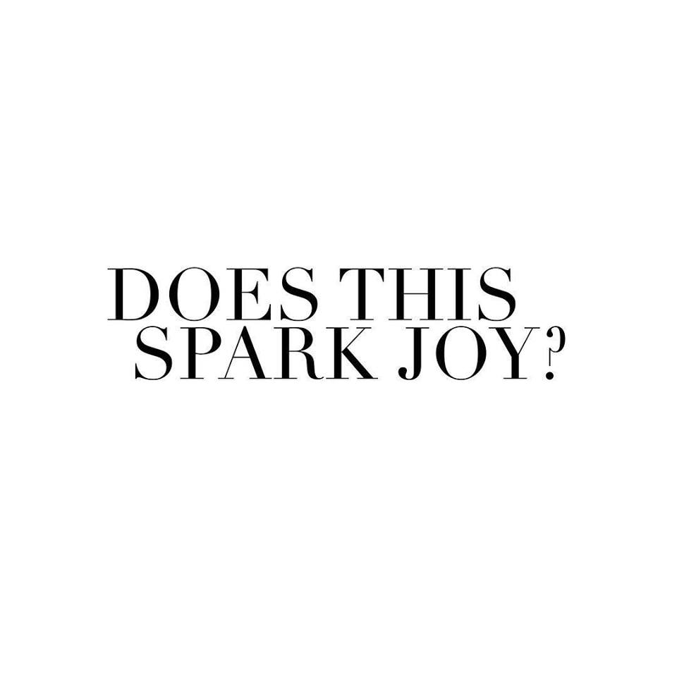 What Sparks Joy?