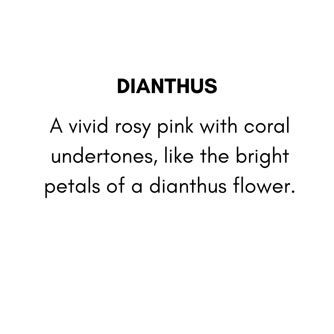 DIANTHUS Spring 2027 Bryn Walker Light Linen