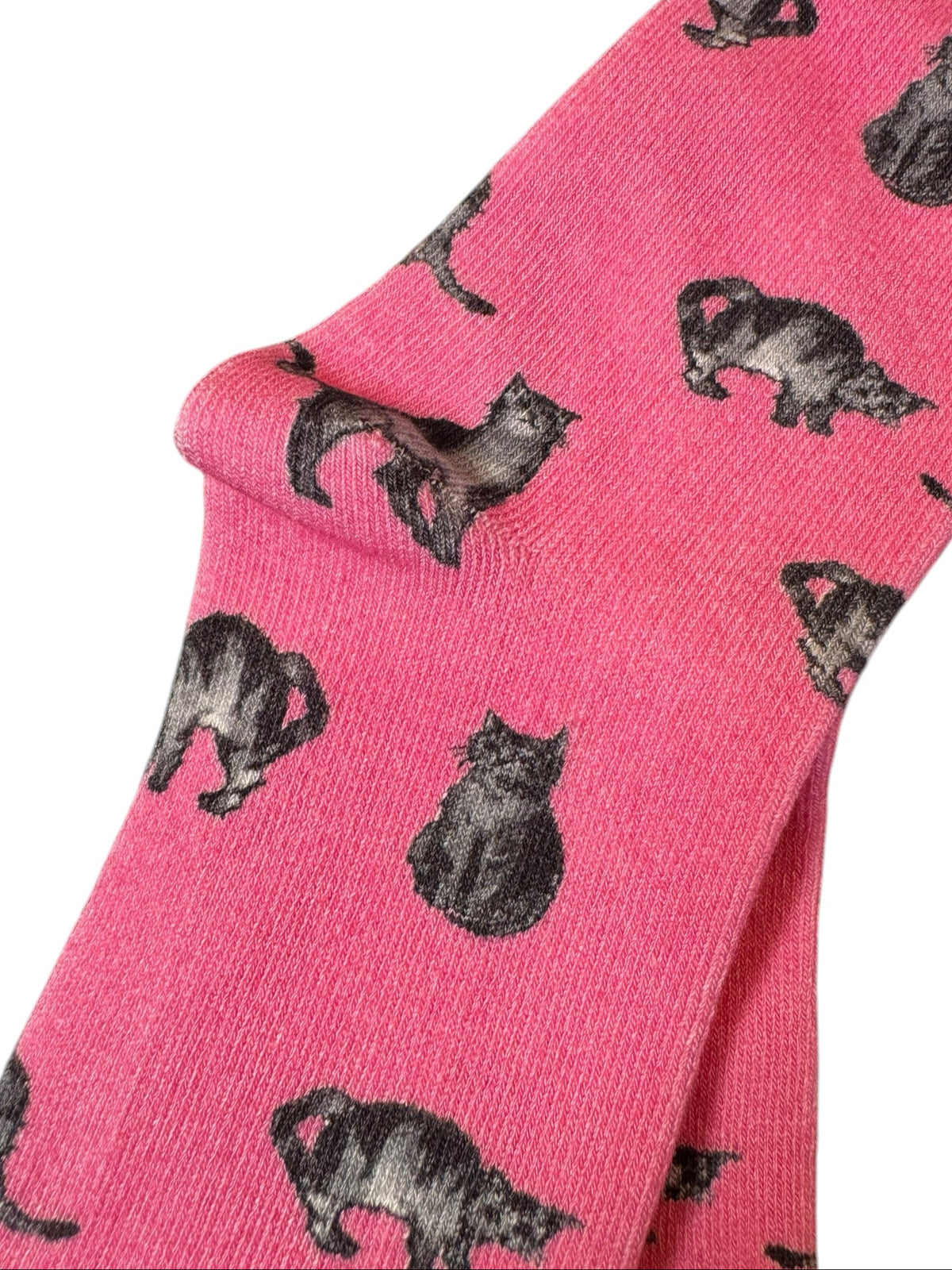 Curious Cat Bamboo Crew Socks