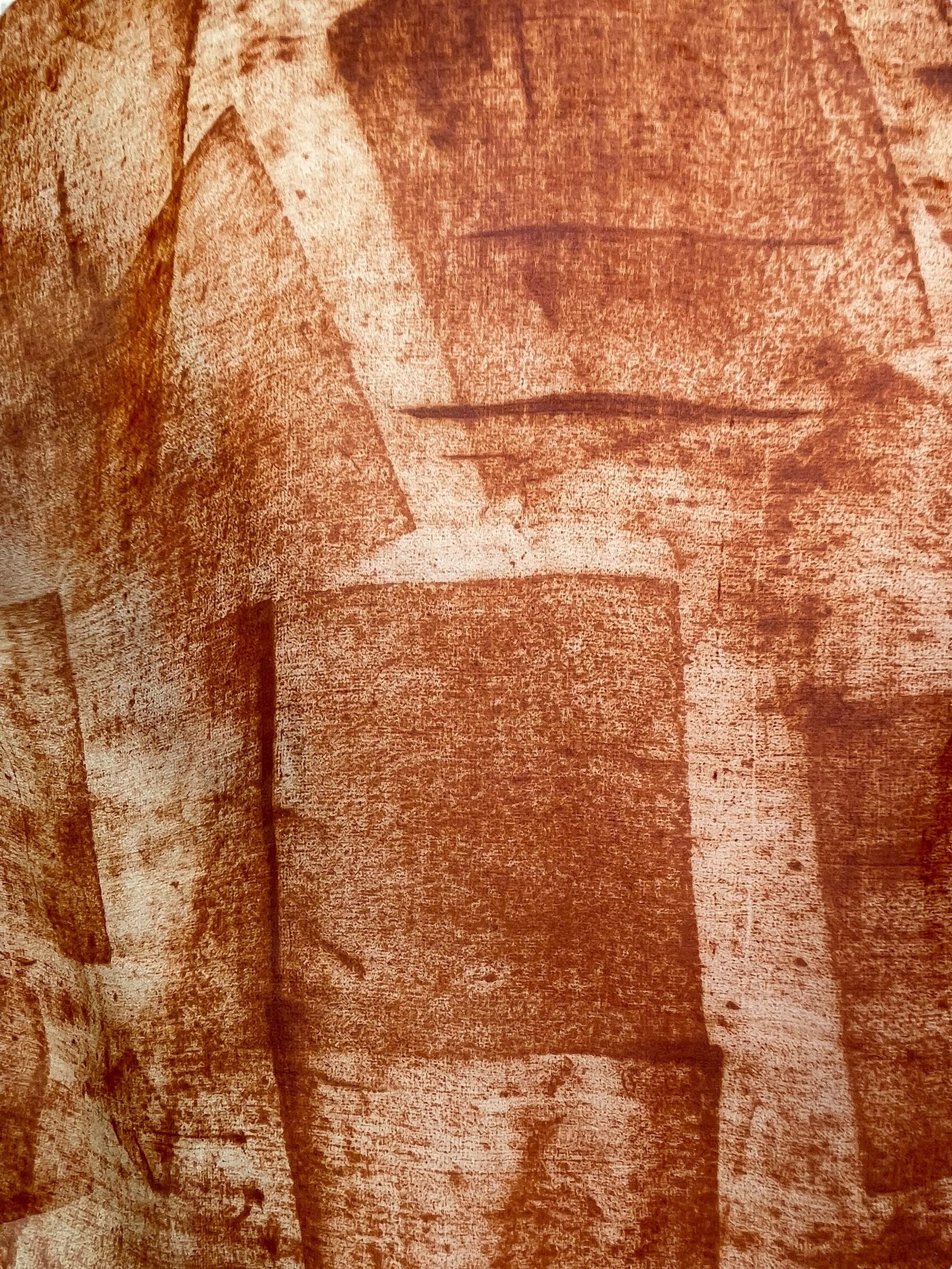 PRG7483 Sheer Avatar Pure Silk Boxy Top