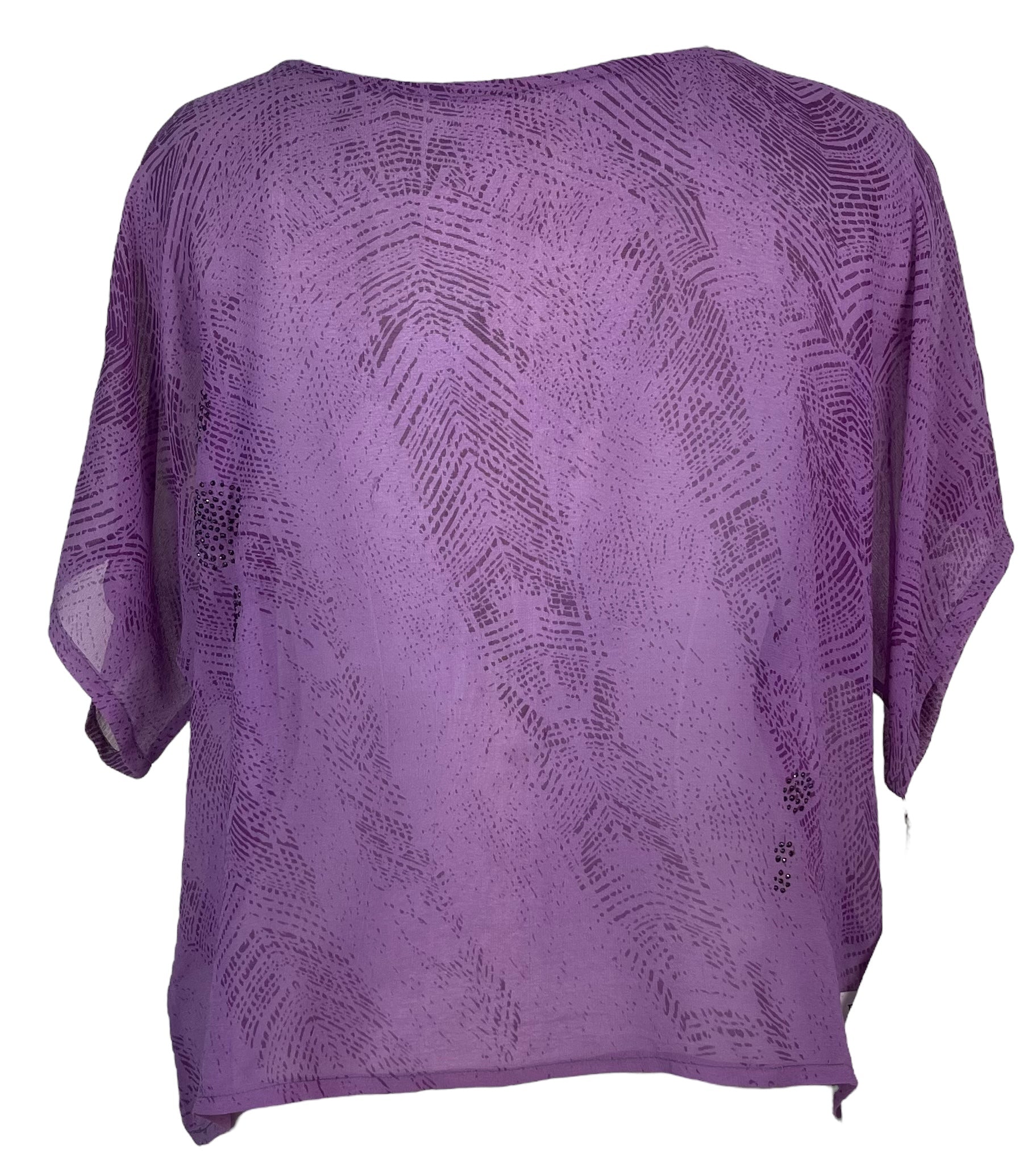 PRG4942 Sheer Avatar Pure Silk Boxy Top