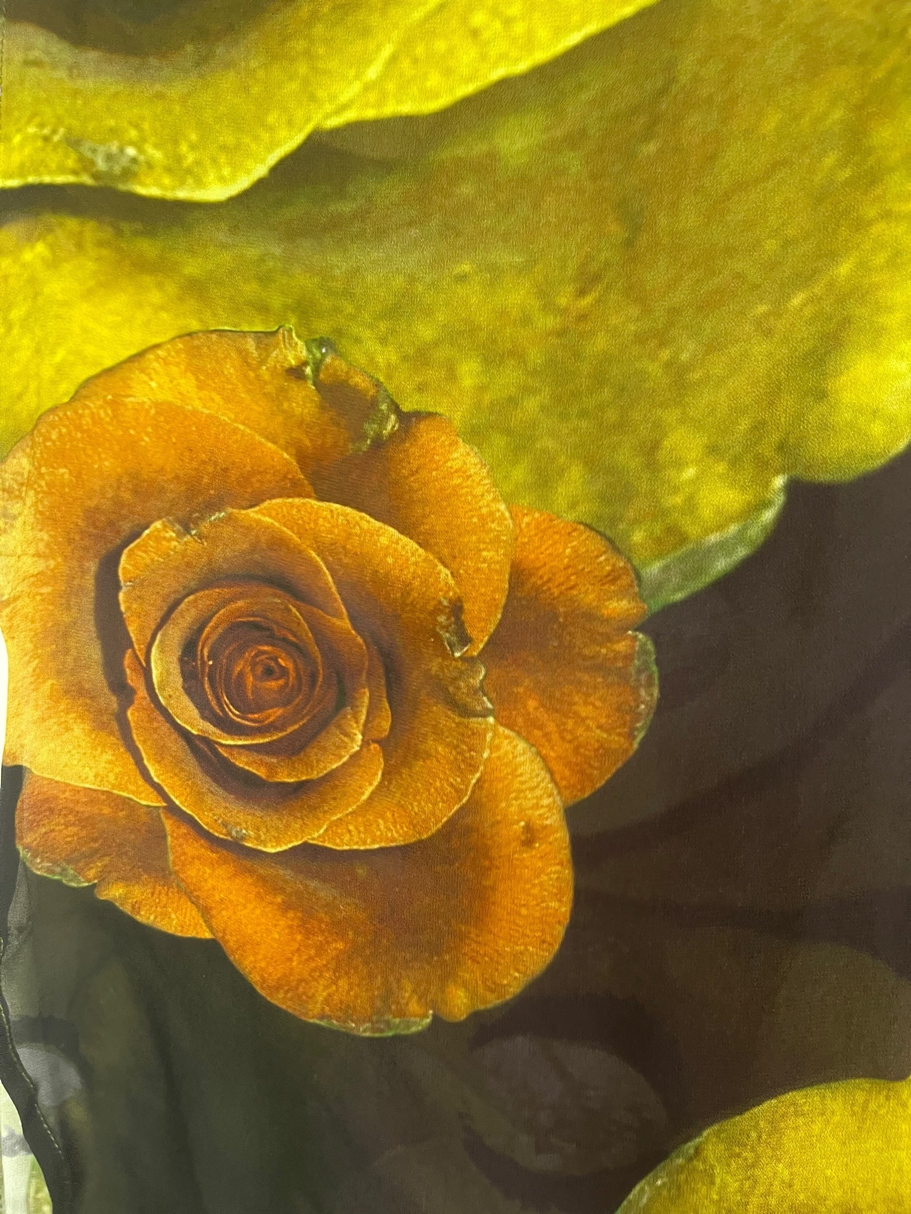 PREVIEW PRG8620 Sheer Avatar Pure Silk Hi Lo Top