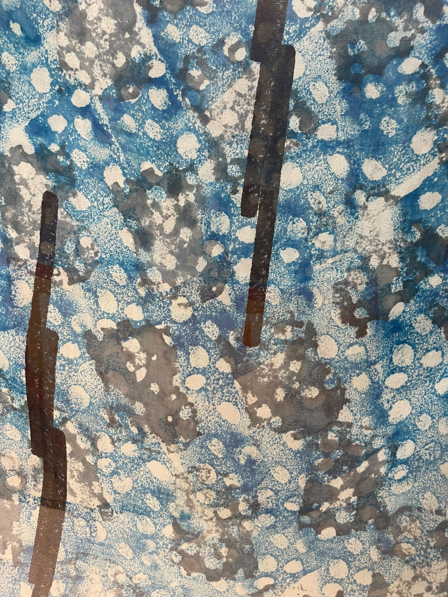 SUTTLES PRG7050 Sheer Avatar Pure Silk Capelet Poncho